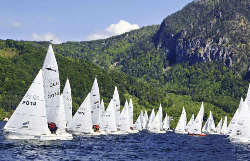 Die Shark Flotte nach dem Start